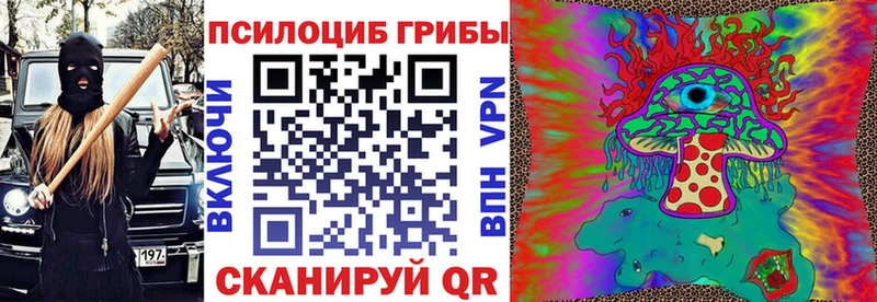 хочу   Инта  гидра как зайти  Галлюциногенные грибы Psilocybe 