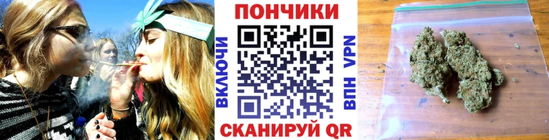 Бошки Шишки план Инта